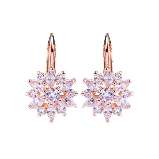 Flower Stud Hoop Earrings for Women, Zircon Embellished Flower Earrings, Gifts for Women and Girls