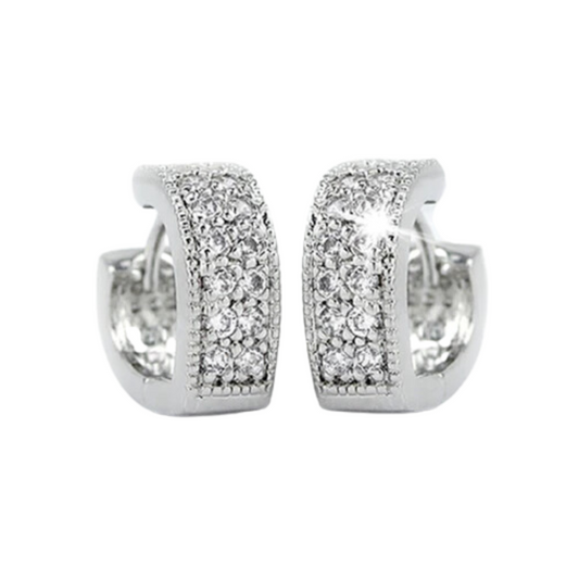 Nilu's Collection Glittery Silver with Crystal Stud Earrings for Women and Girls