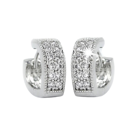 Glittery Silver with Crystal Stud Earrings for Women and Girls