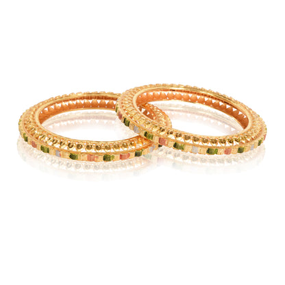 Gold plated Meenakari, Simple and Elegant Ethnic Traditional Bangle Set for Women, Set of 2