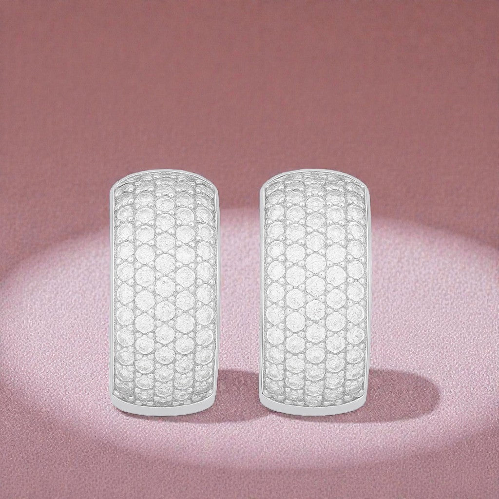 Nilu's Collection Silver Plated Hoop Earrings With American Diamond For Women And Girls | Office Wear | Gift For Her | Anti-Tarnish | Anti-Allergy