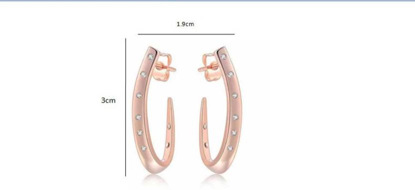 Stylish & Trendy 18K Rose Gold Plated Zircon Stone Earring for Girls and Women